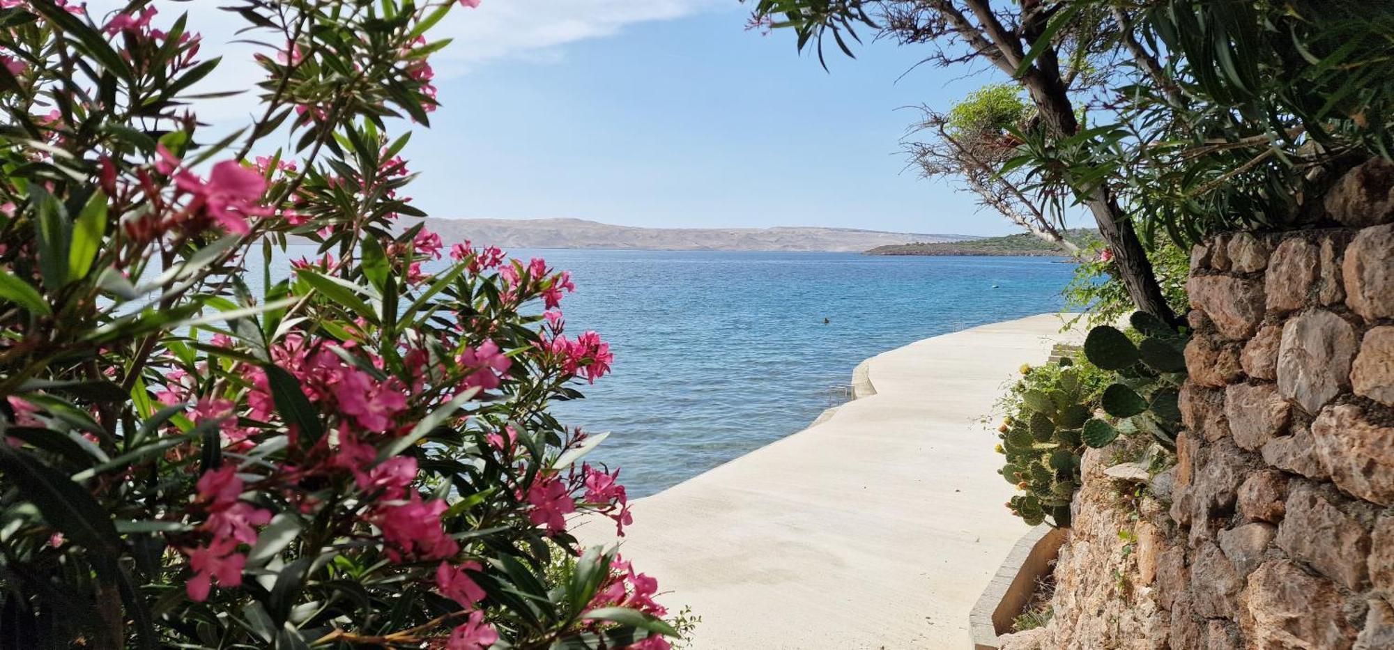 Beachfront Baricevic With Pool