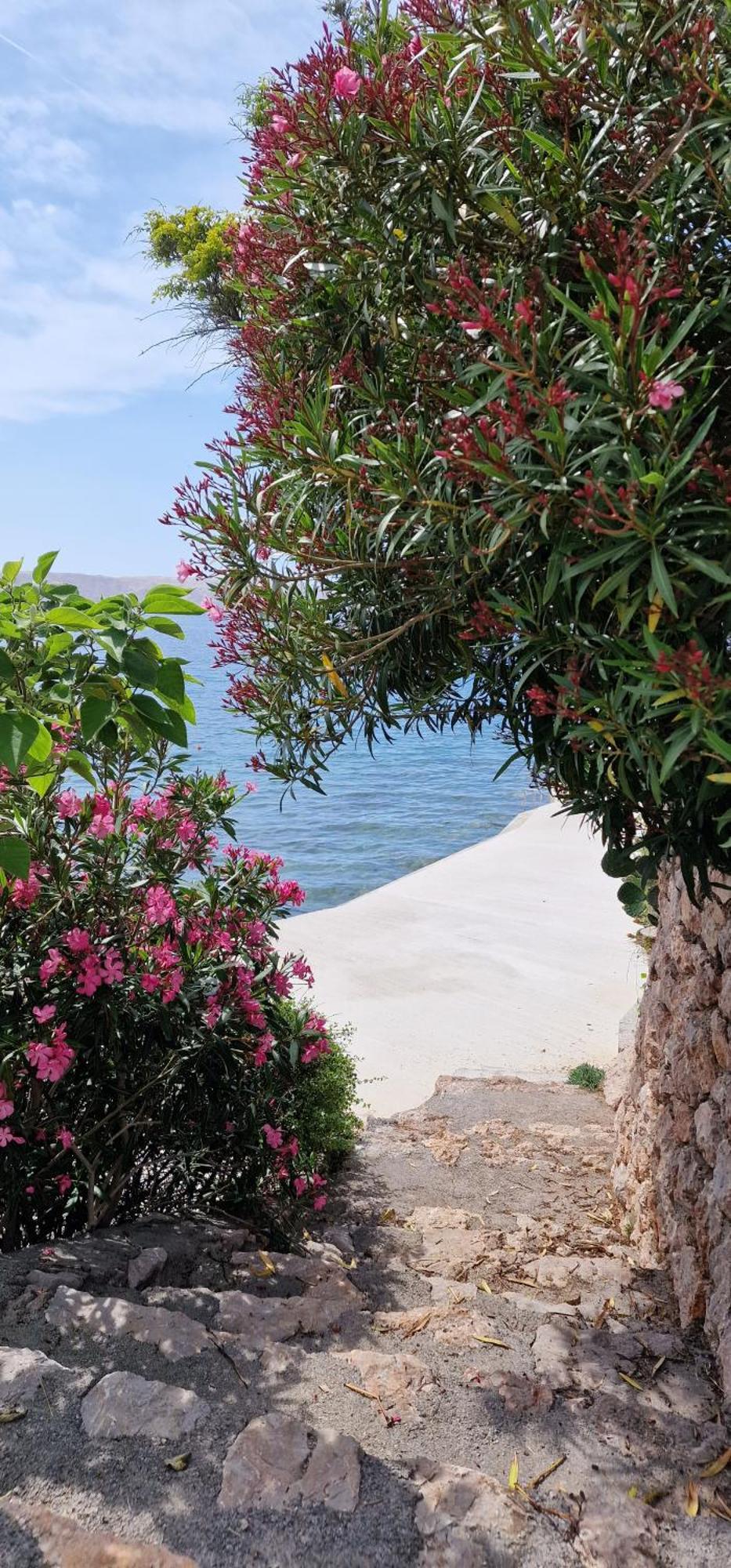 Beachfront Baricevic With Pool *